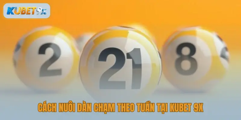 Nuôi dàn đề chạm theo tuần với lịch cụ thể từng ngày tại Kubet 9X