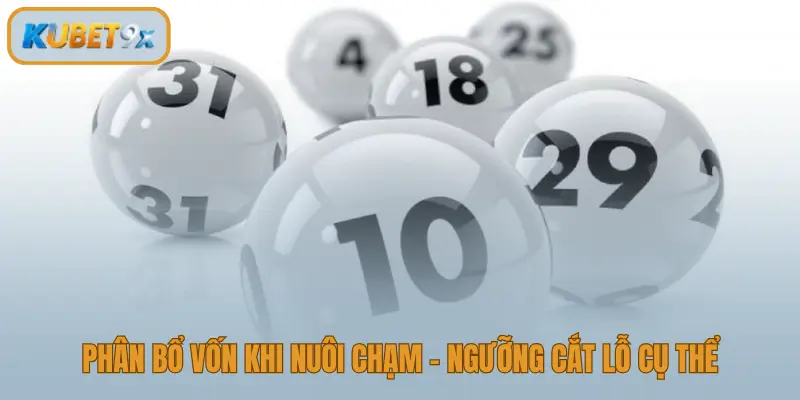 Kiểm soát vốn đề chạm với ngưỡng cắt lỗ ngày và tuần rõ ràng