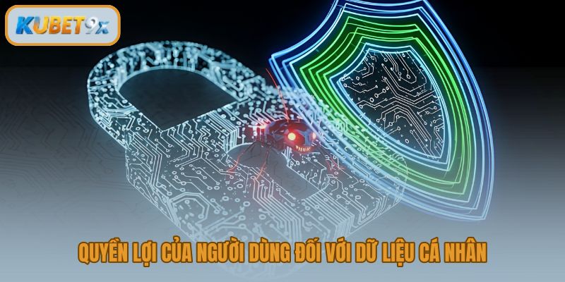 Quyền truy cập và yêu cầu hạn chế xử lý dữ liệu cá nhân